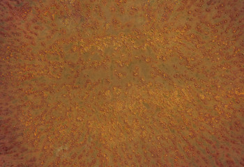 rusty iron background