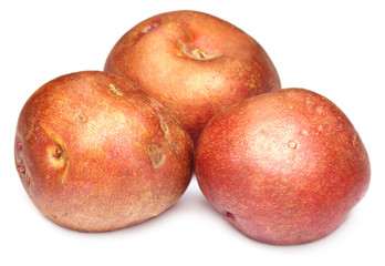 Red Potatoes over white background