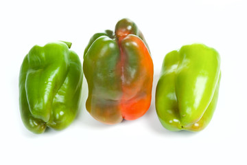 Peppers family