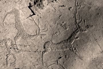 Petroglyph deers, Altay mountains, Russia