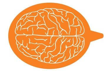 brain
