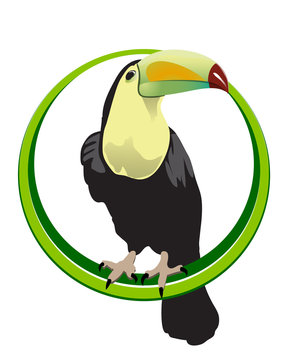 tukan