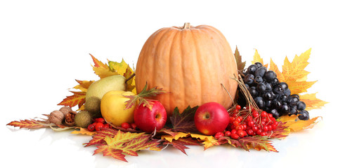 beautiful autumn harvest and leaves isolated on white