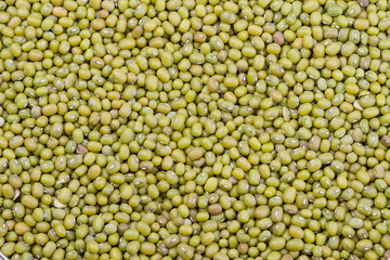 Green beans background