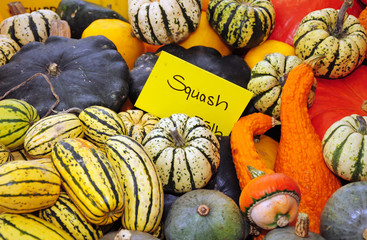 Colorful gourds and squash