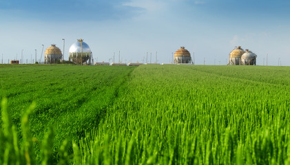 fuel tank in the wheat field