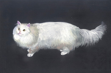 Watercolor Animal Collection: Cat - 36797282