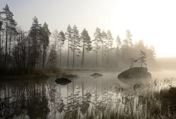 Foto op Plexiglas The foggy autumn's landscape © Piotr Wawrzyniuk
