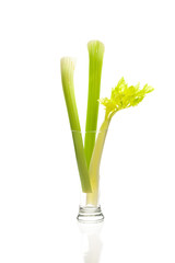 celery in a tall glass isolated on white