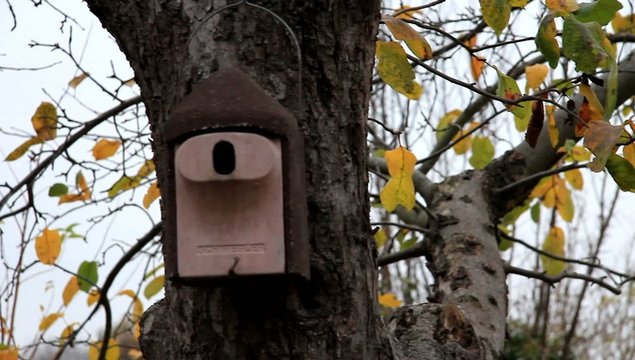 Vogelhaus,Herbst im Garten