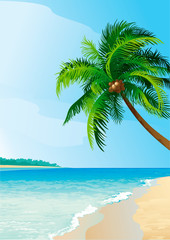 Vector of coconut palm tree on tropical beach