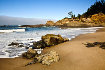 Oregon coast portrait