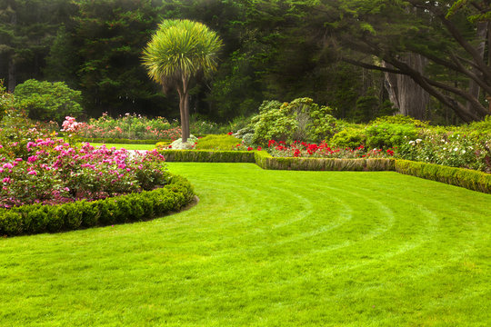 Garden portrait