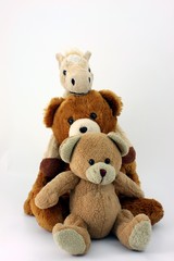 Kuscheltierfreundschaft Pferd und Teddybären