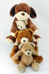 schmusetiere vertikal übereinander freundschaft