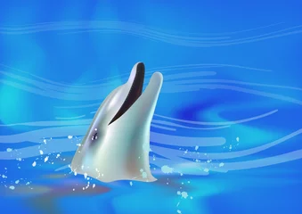 Schilderijen op glas dolfijn © annlim