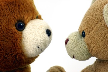 Zwei Teddyb&auml;ren schauen sich an
