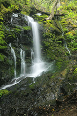 Waterfall in the lush rainforest of Uvas Caynon California