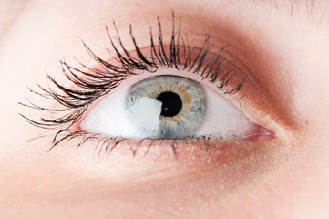 Human eye. macro shooting