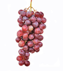 red grape isolated on white background