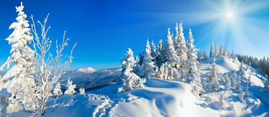 winter mountain panorama