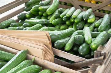 Fresh green cucumbers for sale at farmers market.