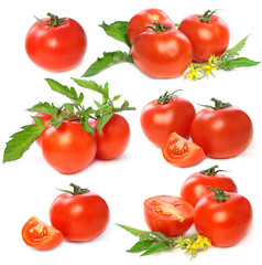 Tomatoes vegetable isolated on white background - collage