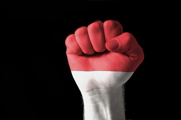 Fist painted in colors of indonesia flag