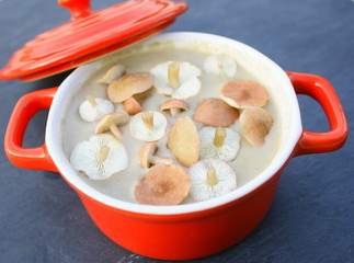 soupe de champignons