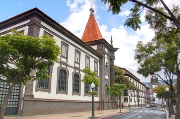 rue à funchal (madere)