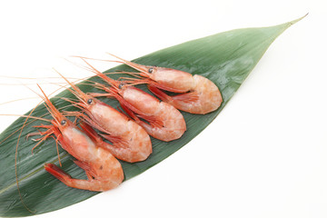 敷葉に盛った甘エビ