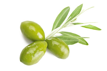 Branch with olives on the white