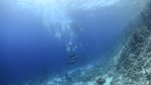 Extreme wide view of a group of scuba divers