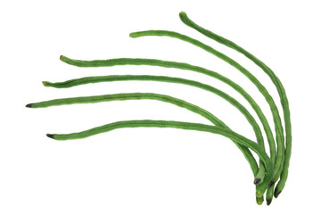 Snake Beans