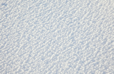 The white background of snow and ice