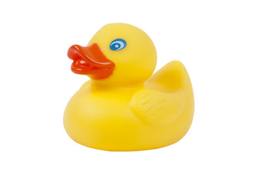 rubber duck