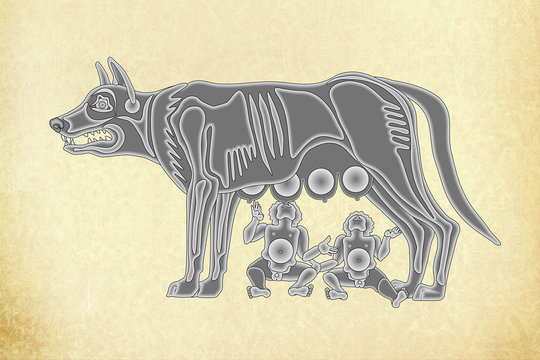 Romolus und Remus II