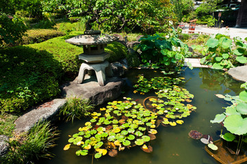Beautiful Japanese garden