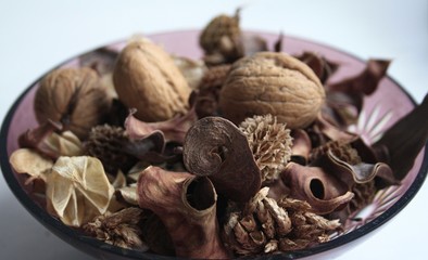 Dry flowers and nuts