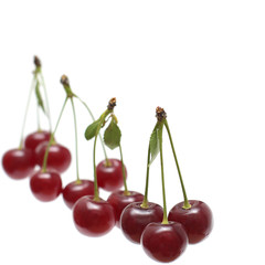 Fototapeta na wymiar Fresh red cherry on white background
