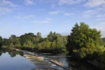 Obraz premium Green trees along a river with a blue sky