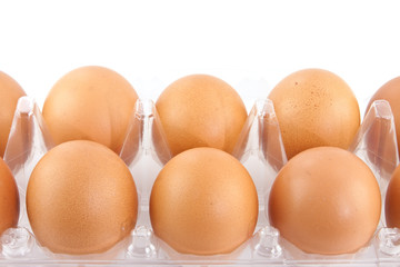 egg in plastic case isolated on white