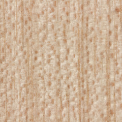 Wood texture