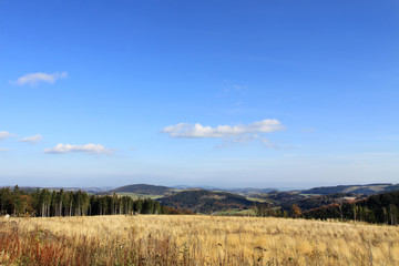 Fototapeta na wymiar Wrzosowiska na Ettelsberg