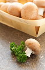 Champignons
