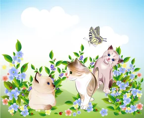 Poster vrolijke kleine kittens en vlinder spelen op de weide © sannare