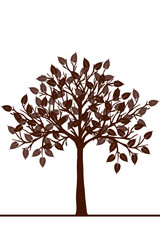 Fototapeta premium Abstract brown tree
