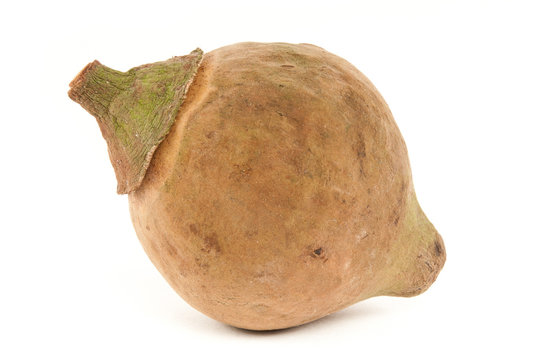 Zapote isolated on white background