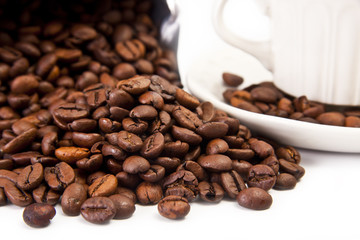 granos de café