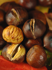 Castagne
